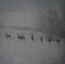 Double LP - Rauhnacht - Winterstille - Clear w/ black and white splatter vinyls