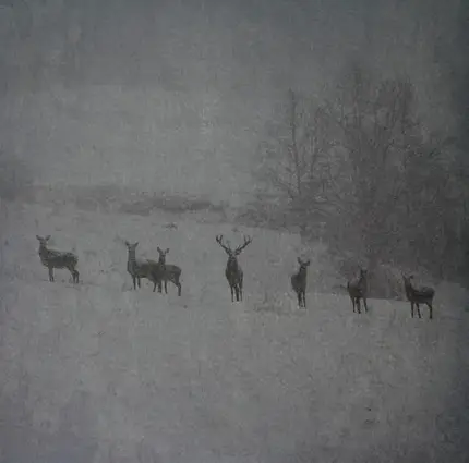 Rauhnacht - Winterstille