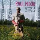 CD - Raul Midon - A World Within A World