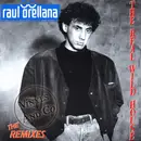12inch Vinyl Single - Raúl Orellana - The Real Wild House - The Remixes