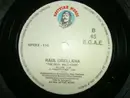 12inch Vinyl Single - Raúl Orellana - The Real Wild House - The Remixes