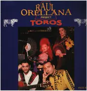 Raúl Orellana - Toros