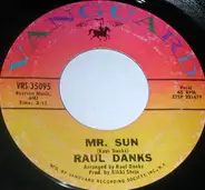 Raul Danks - Mr. Sun