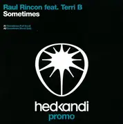 12inch Vinyl Single - Raul Rincon feat. Terri Bjerre - Sometimes