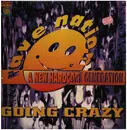 12inch Vinyl Single - Rave Nation - Going Crazy