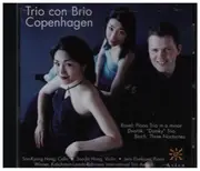 CD - Ravel / Dvorak / Bloch - Trio con Brio Copenhagen