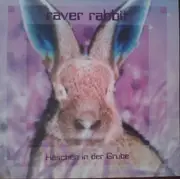 12inch Vinyl Single - Raver Rabbit - Häschen In Der Grube