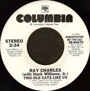 Ray Charles With Hank Williams Jr. - Two Old Cats Like Us