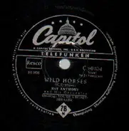 Ray Anthony and His Orchestra, Jo Ann Greer - Wild Horses / You're A Heartbreaker