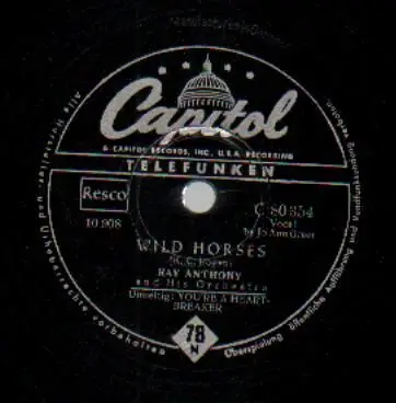 Ray Anthony and His Orchestra, Jo Ann Greer - Wild Horses / You're A Heartbreaker