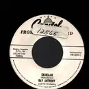 7inch Vinyl Single - Ray Anthony & His Orchestra - Skokiaan / Say Hey - Promo