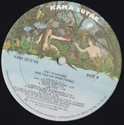 LP - Ray D' Ariano - Are You On Something?