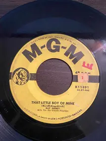 Ray Haney - My Son, My Son / That Little Boy Of Mine