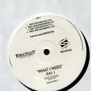 12inch Vinyl Single - Ray J - What I Need - Promo