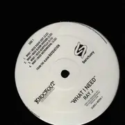 12inch Vinyl Single - Ray J - What I Need