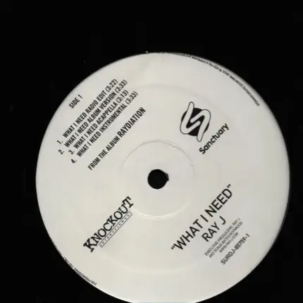 Ray J - What I Need