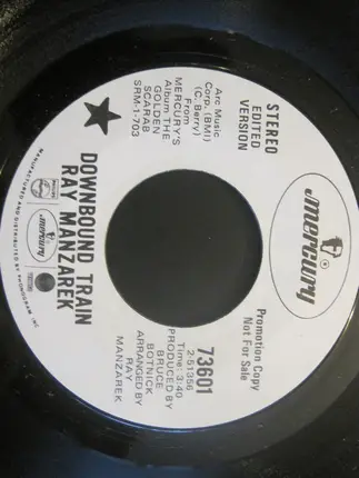 Ray Manzarek - Downbound Train