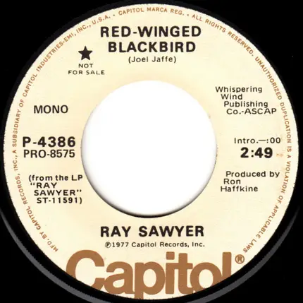 Ray Sawyer - Red-Winged Blackbird