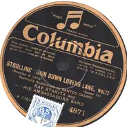 Ray Starita - Strolling Again Down Lovers Lane / Hand In Hand With Happiness