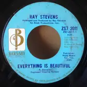 7inch Vinyl Single - Ray Stevens - Everything Is Beautiful