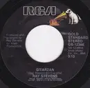 7inch Vinyl Single - Ray Stevens - Gitarzan / Everything Is Beautiful