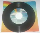 7inch Vinyl Single - Ray Stevens - Mississippi Squirrel Revival