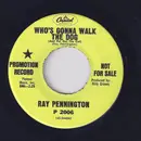 7inch Vinyl Single - Ray Pennington - Who's Gonna Walk The Dog / You Turned The Lights On