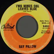 Ray Pillow - Two Minus One Leaves Blue