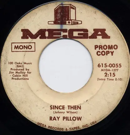 Ray Pillow - Since Then