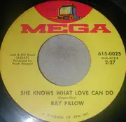 7inch Vinyl Single - Ray Pillow - The Waitress - ships in company sleeve