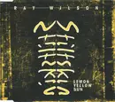 CD Single - Ray Wilson & Stiltskin - Lemon Yellow Sun