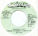 7inch Vinyl Single - Rayvon - Terminal Gate