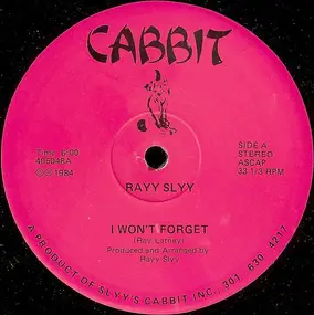 Rayy Slyy - I Won't Forget