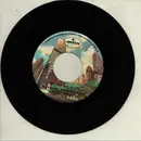 7inch Vinyl Single - Rayburn Anthony with Kitty Wells - The Wild Side Of Life