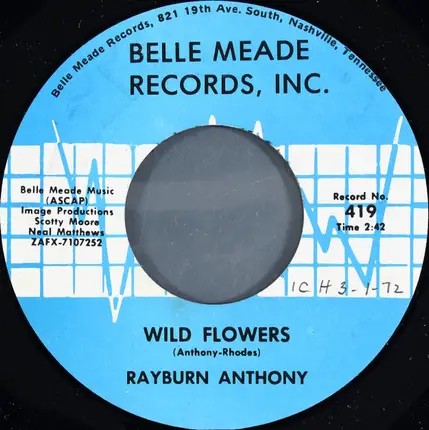 Rayburn Anthony - Binoculars