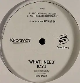 Ray J - What I Need