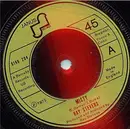 7'' - Ray Stevens - Misty