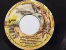7'' - Ray Stevens - Indian Love Call / Piece Of Paradise