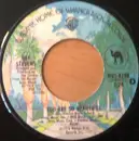 7'' - Ray Stevens - You Are So Beautiful
