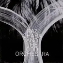 LP - Raz Ohara And The Odd Orchestra - II