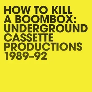 Raz Mesinai /Various - How To Kill A Boombox