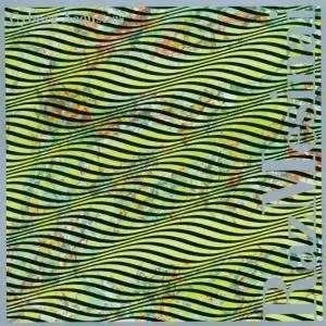 Raz Mesinai - Cyborg Acoutiscs