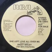 Razzy Bailey - She Left Love All Over Me