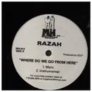 12inch Vinyl Single - Razah - Where Do We Go From Here