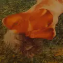 12inch Vinyl Single - Re-Vox / Jérôme Pacman Feat. Moïra Conrath - X-tra Mouss / My Time