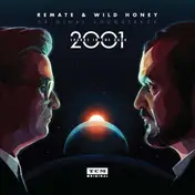 Wild Honey - 2001 Sparks In The Dark