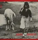 LP - Renato Borghetti - Gaita Ponto