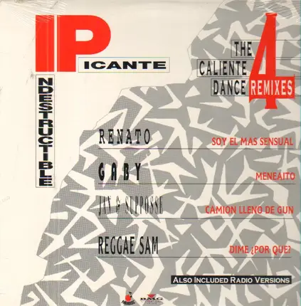 Renato / Gaby / Reggae Sam a.o. - Indestructible/Picante