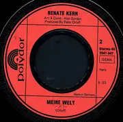 7inch Vinyl Single - Renate Kern - Das Macht Diese Welt Erst Richtig Schön