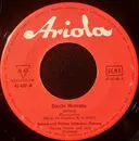 7inch Vinyl Single - Renate Und Werner Leismann - Gaucho Mexicano / Honeymoon Für Zwei